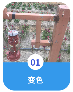 机械油漆出现问题1.png